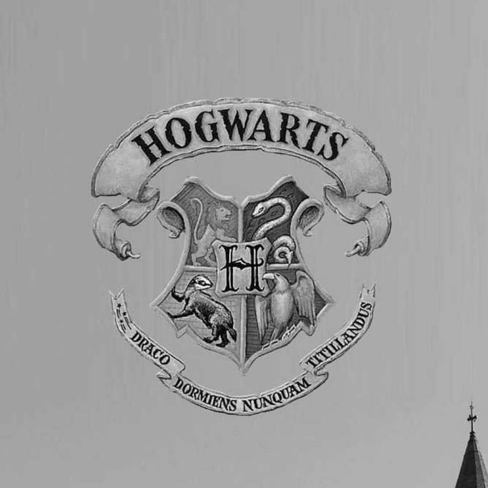 Meet your Posher, Kira